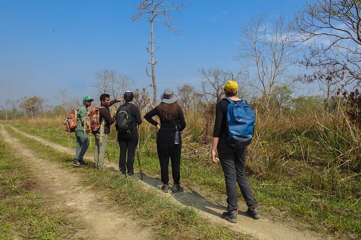4 dagar 3 nätter i Chitwan National Park Jungle Trek från Sauraha