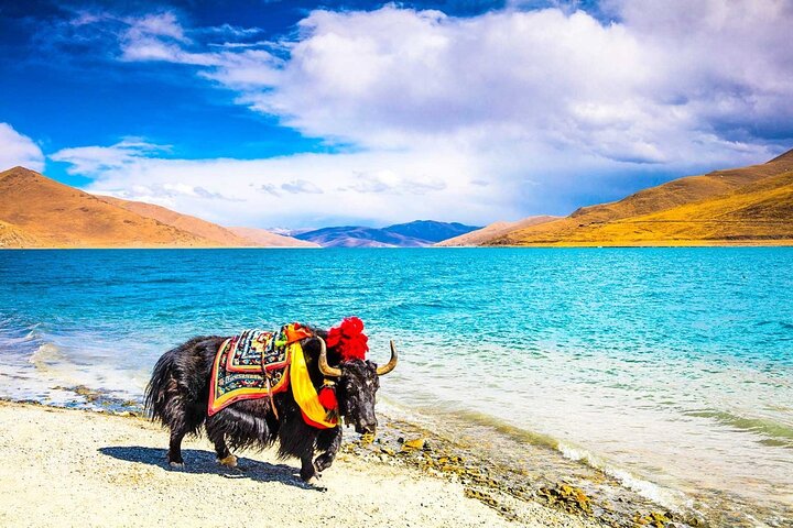 8 jours Lhasa Gyantse Shigatse Mt Everest Tour en groupe