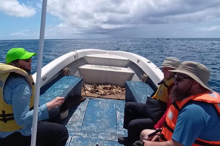 Tour to the Motus: Boat trip and snorkeling in Rapa Nui
