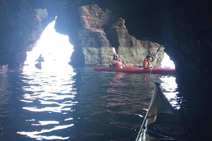 Safari en kayak de fauna, cuevas marinas y arbustos en Riviera Inglés