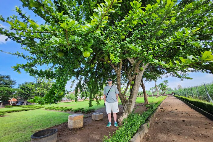 Trowulan Tour Ruine du royaume de Majapahit depuis Surabaya