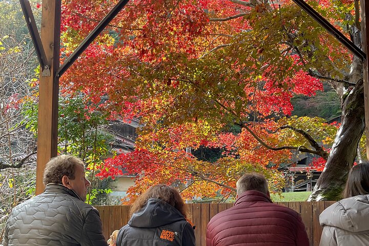 Kunstnerkeramik- og madlavningskursus i de gamle gader på Mt. Hiei