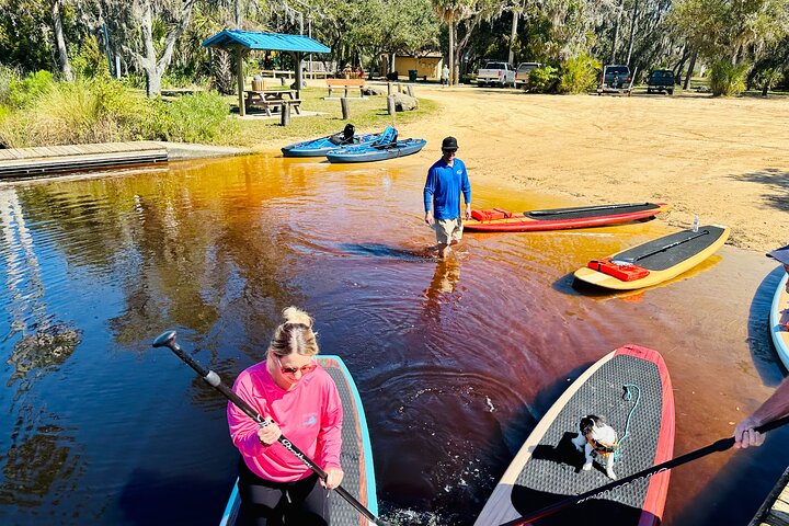 Ormond Beach Manatee og naturtur Kajakkpadling eller padleboarding