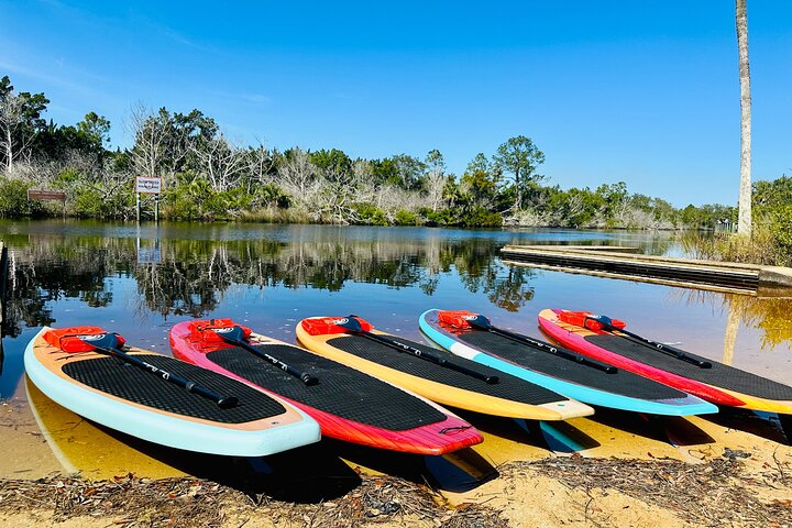 Ormond Beach Manatee og naturtur Kajakkpadling eller padleboarding