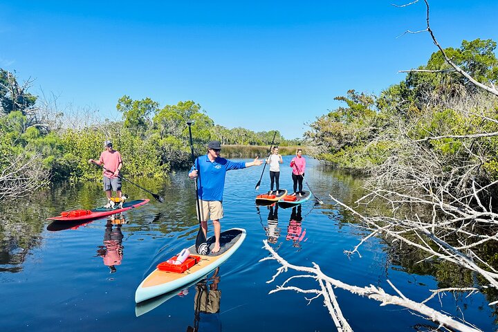 Ormond Beach Manatee og naturtur Kajakkpadling eller padleboarding