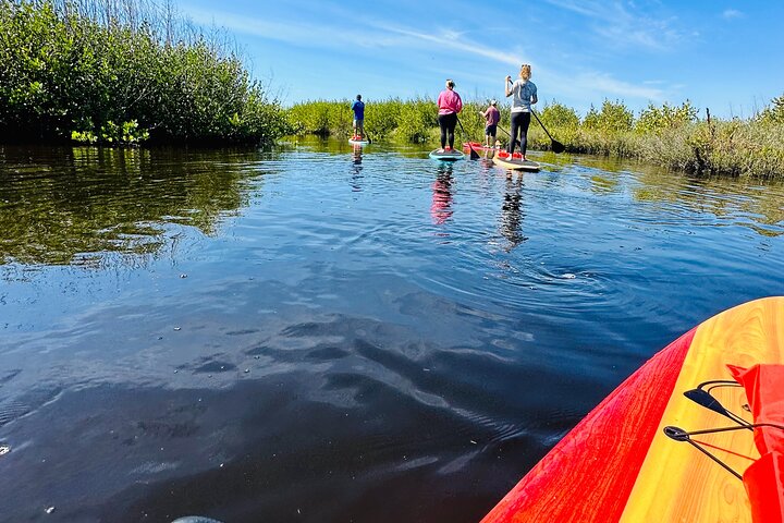 Ormond Beach Manatee og naturtur Kajakkpadling eller padleboarding