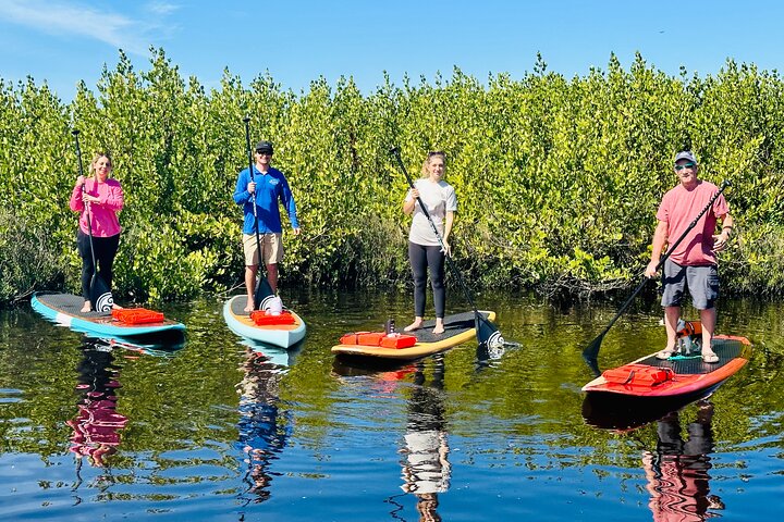 Ormond Beach Manatee og naturtur Kajakkpadling eller padleboarding