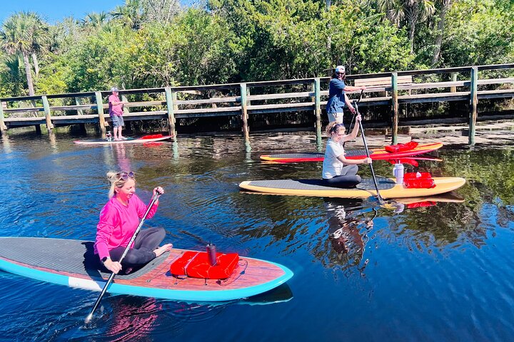Ormond Beach Manatee og naturtur Kajakkpadling eller padleboarding