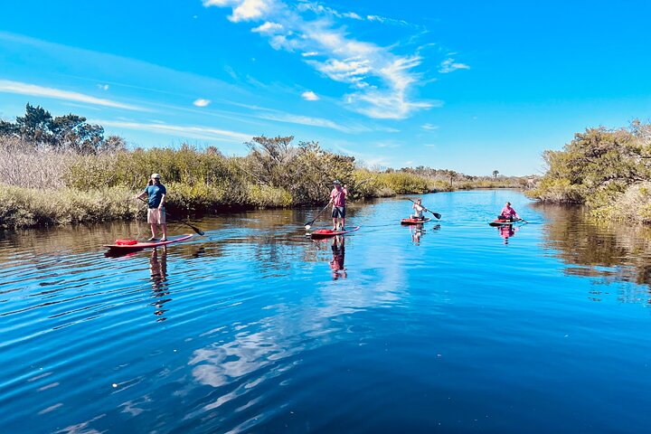 Ormond Beach Manatee og naturtur Kajakkpadling eller padleboarding