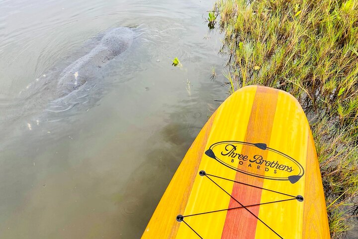 Ormond Beach Manatee og naturtur Kajakkpadling eller padleboarding