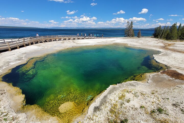 Guidet Yellowstone tur fra Big Sky og West Yellowstone