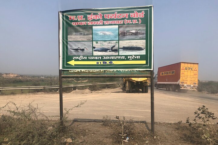 Excursão de dia inteiro ao Alligator Eco Park em Morena saindo de Gwalior