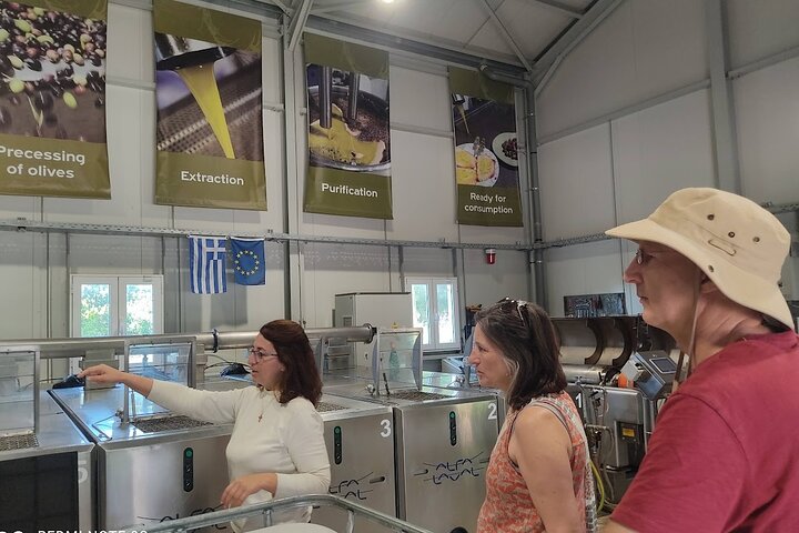 Cefalonia: Experiencia privada de cata de aceite de oliva, miel y vino