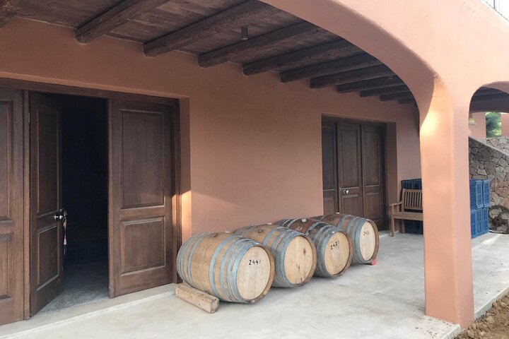 Cefalonia: Experiencia privada de cata de aceite de oliva, miel y vino