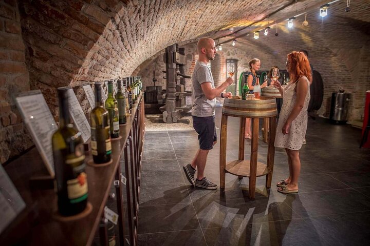 Devin Castle Tour met wijnproeven