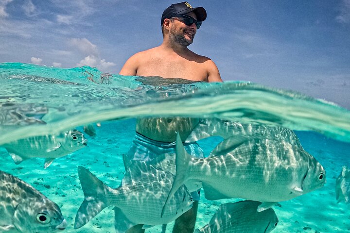 Excursion en bateau semi-privée d'une journée complète à Johnny Kay et à l'aquarium naturel