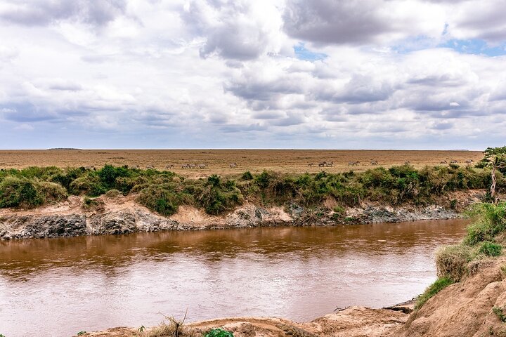 Tour privato di safari in game drive nel Maasai Mara