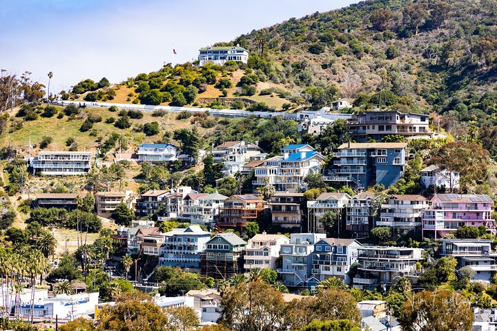 Catalina Island Private 2 - Tour de 2 horas por Avalon