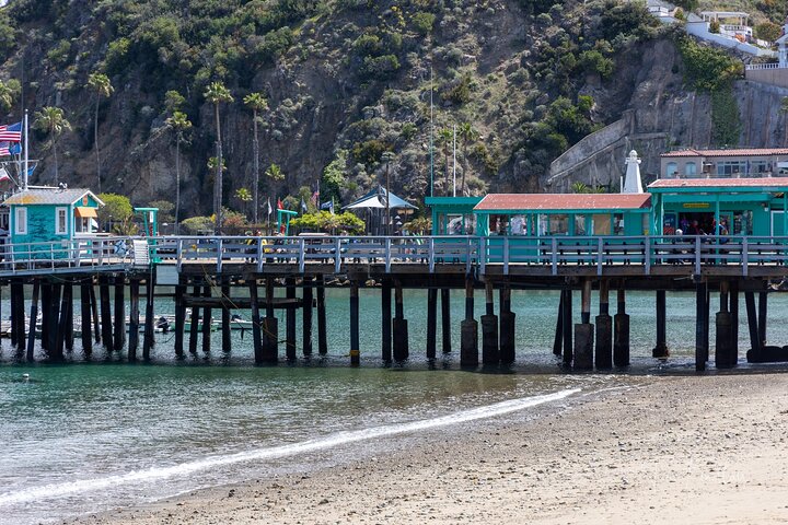 Catalina Island Private 2 - Tour de 2 horas por Avalon
