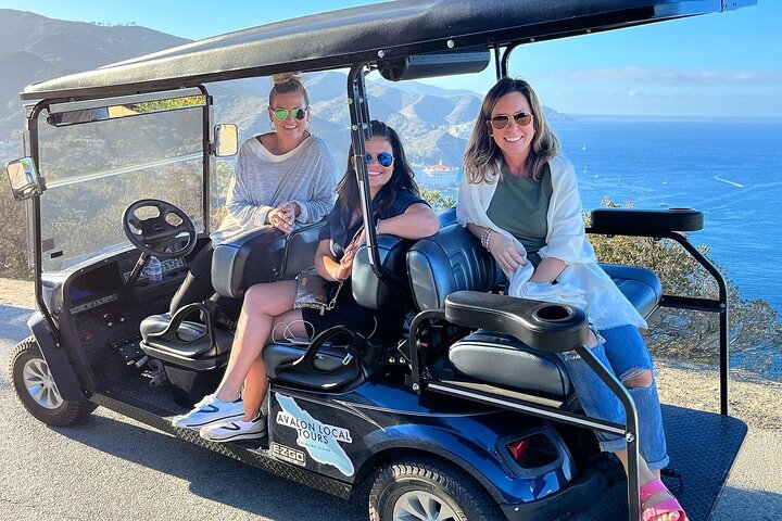 Catalina Island Private 2 - Tour de 2 horas por Avalon
