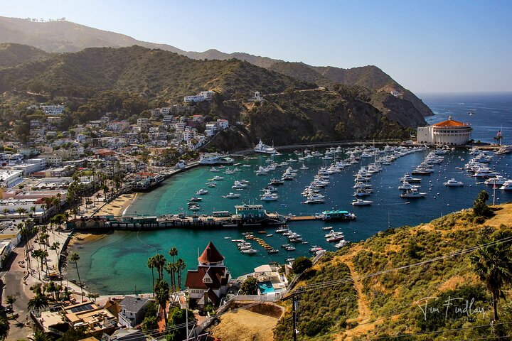 Catalina Island Private 2 - Tour de 2 horas por Avalon