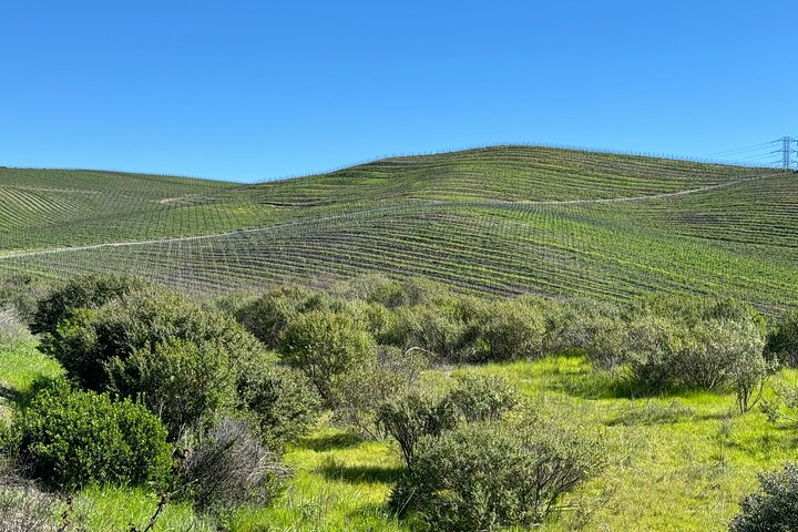 Healdsburg 6 timmars vinresa med lyx SUV - Platser upp till 4