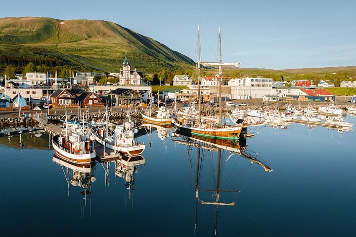 Excursion traditionnelle d'observation des baleines de bateau de chêne de Husavik