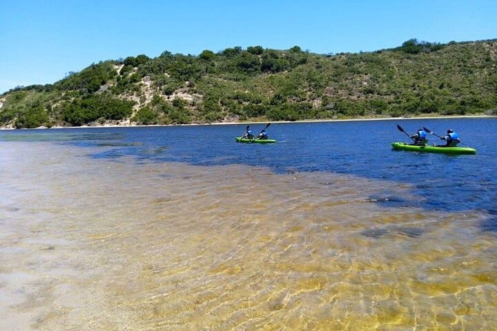 Paseos en canoa en Sedgefield en Oysters Edge, Garden Route