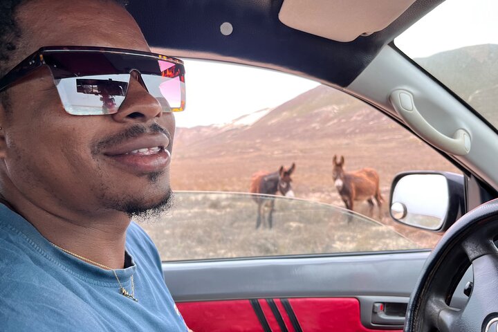 Excursão diurna em grupo 4x4 Boa Vista Sul e Norte com sandboard