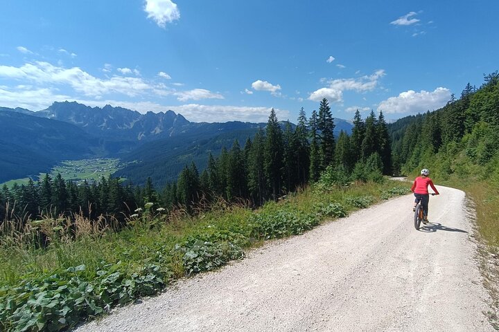 Passeio guiado de e-bike pelas pastagens alpinas em Salzkammergut