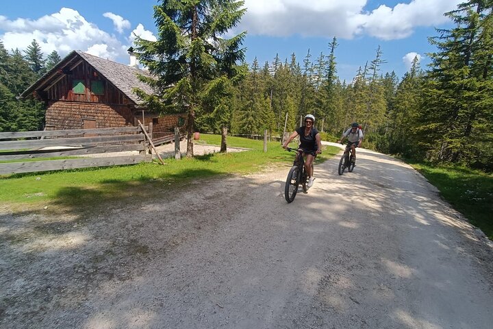 Passeio guiado de e-bike pelas pastagens alpinas em Salzkammergut