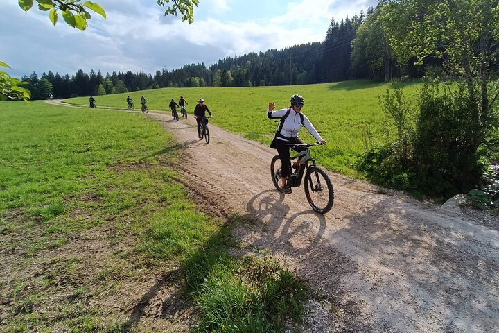 Passeio guiado de e-bike pelas pastagens alpinas em Salzkammergut