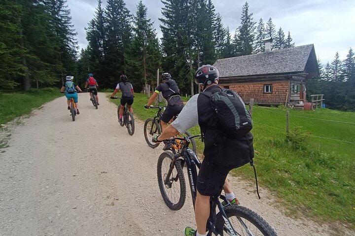 Passeio guiado de e-bike pelas pastagens alpinas em Salzkammergut