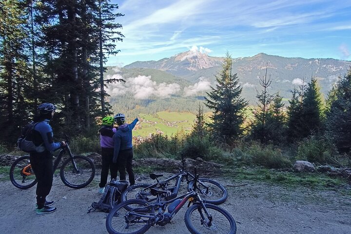 Passeio guiado de e-bike pelas pastagens alpinas em Salzkammergut
