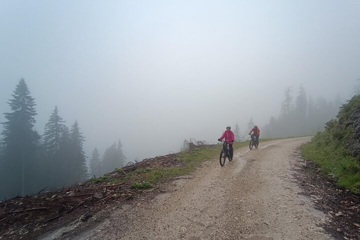 Passeio guiado de e-bike pelas pastagens alpinas em Salzkammergut