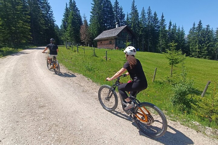 Passeio guiado de e-bike pelas pastagens alpinas em Salzkammergut