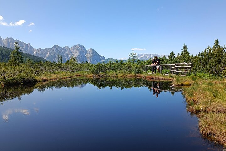Passeio guiado de e-bike pelas pastagens alpinas em Salzkammergut