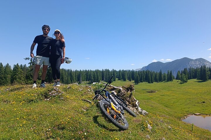 Passeio guiado de e-bike pelas pastagens alpinas em Salzkammergut