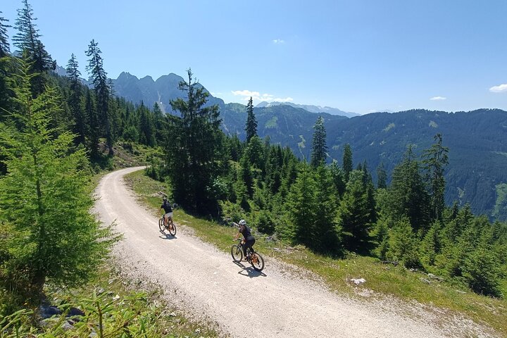 Passeio guiado de e-bike pelas pastagens alpinas em Salzkammergut