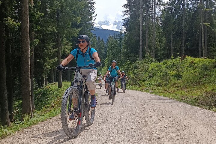 Passeio guiado de e-bike pelas pastagens alpinas em Salzkammergut