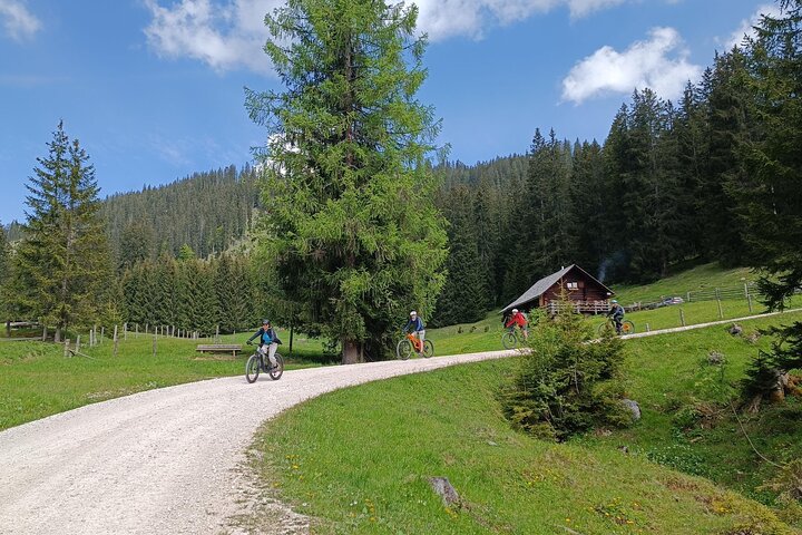 Passeio guiado de e-bike pelas pastagens alpinas em Salzkammergut