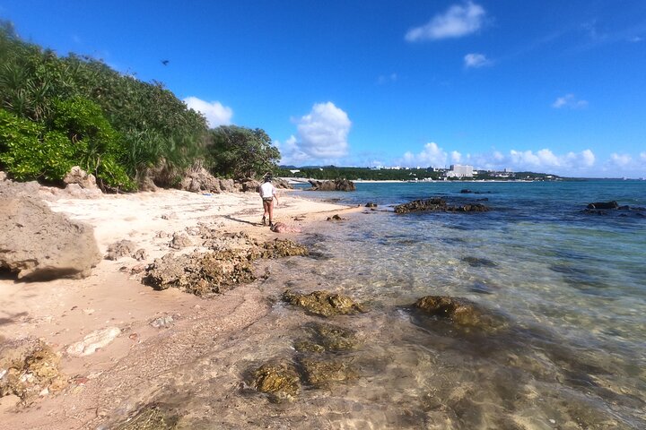 Okinawa : Experiencia Privada de Snorkeling con Guía Inglés Nativo