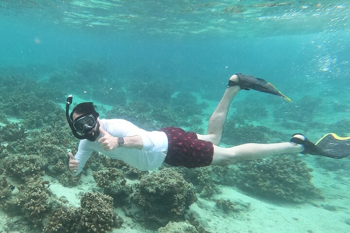 Okinawa : Experiencia Privada de Snorkeling con Guía Inglés Nativo