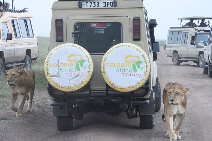 5 - Luxus Fly-In Serengeti & Ngorongoro Safari von Sansibar