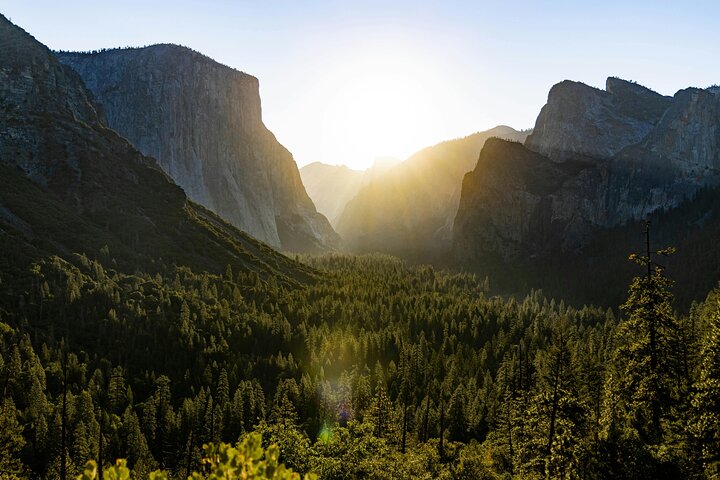 Tour privato del Parco Nazionale di Yosemite e delle Sequoie da San Francisco