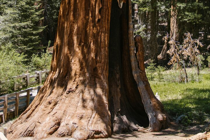 Tour privato del Parco Nazionale di Yosemite e delle Sequoie da San Francisco