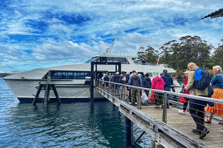 Port Arthur: Ganztägige geführte Tour mit Hafenrundfahrt und Tasman-Nationalpark