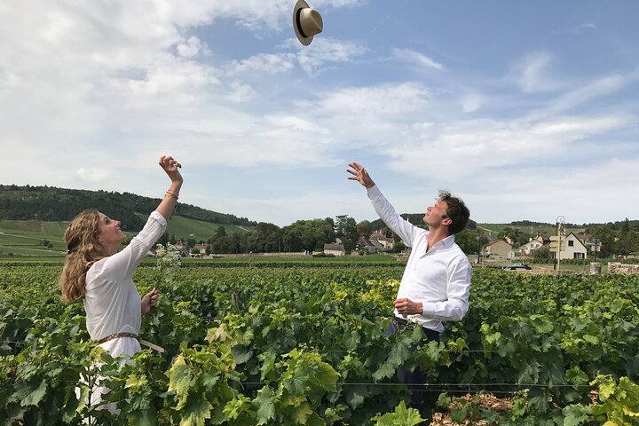 Ab Dijon: Ganztägige Tour durch das Beste von Burgund inklusive Mittagessen