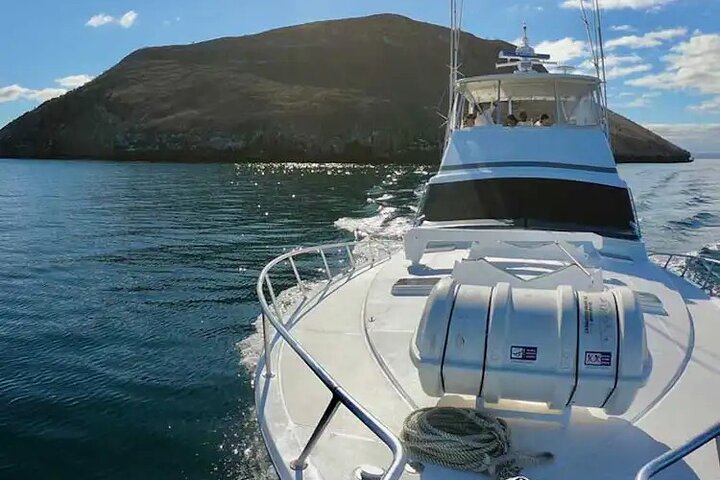 Bartolomé Eilandtour & snorkelen vanuit Puerto Ayora, Galápagos