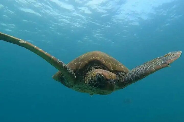 Bartolomé Eilandtour & snorkelen vanuit Puerto Ayora, Galápagos